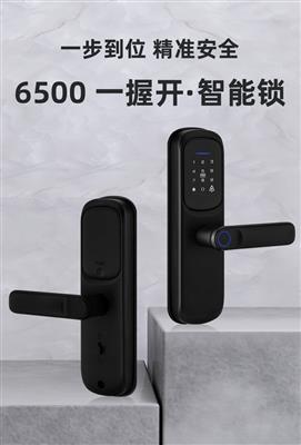 6500-一（yī）握開智能鎖