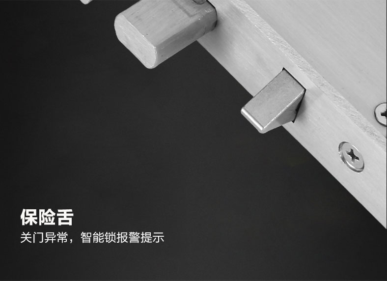 向日葵影视全自動靜(jìng)音電子鎖體